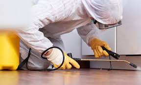 Best Pest Prevention Services  in Lansing, KS